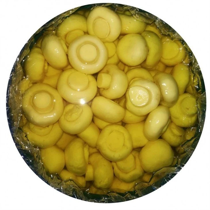 Hot selling Whole white mushroom 4-6cm in brine in drums