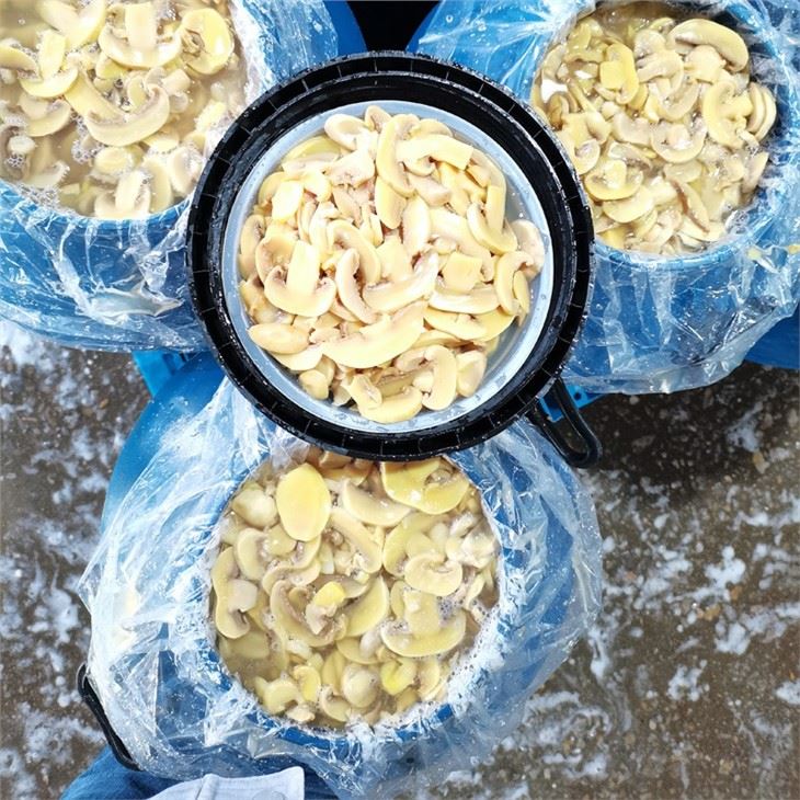 Gepekelde gezouten paddenstoel in plastic vaten