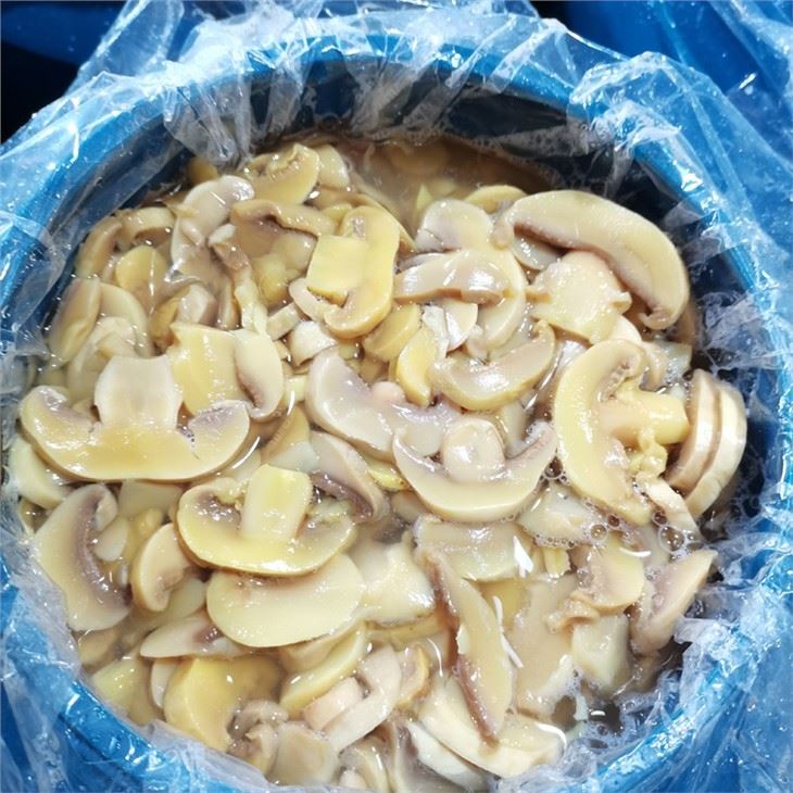 Drum packing white brined mushroom