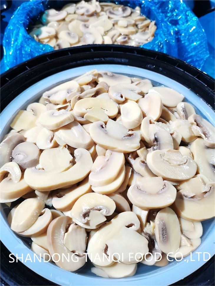 Best sliced 4-6cm mushroom in brine in drums