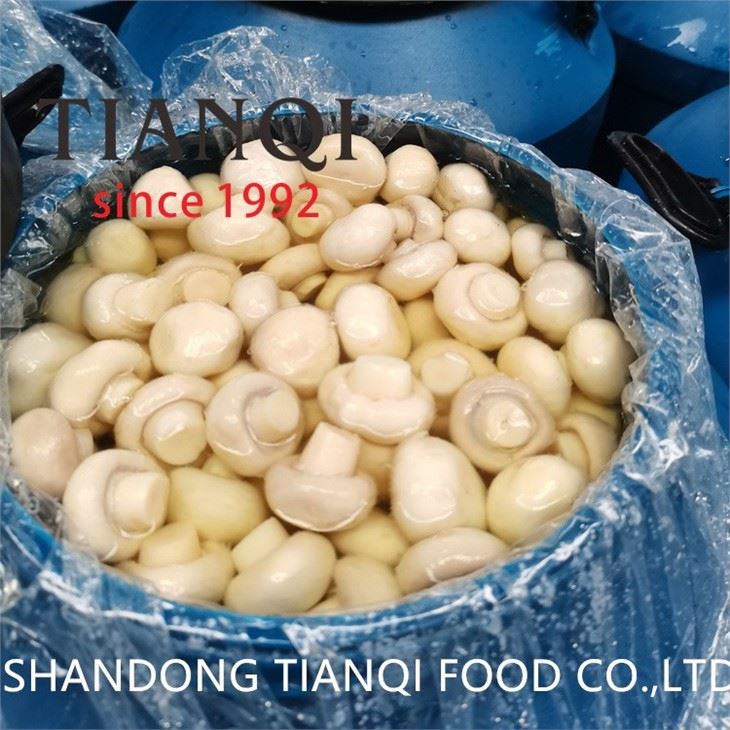 Salted Champignon Mushroom Wholes in Drum