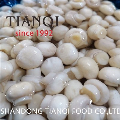 Gekweekte paddenstoel in pekel in plastic vaten